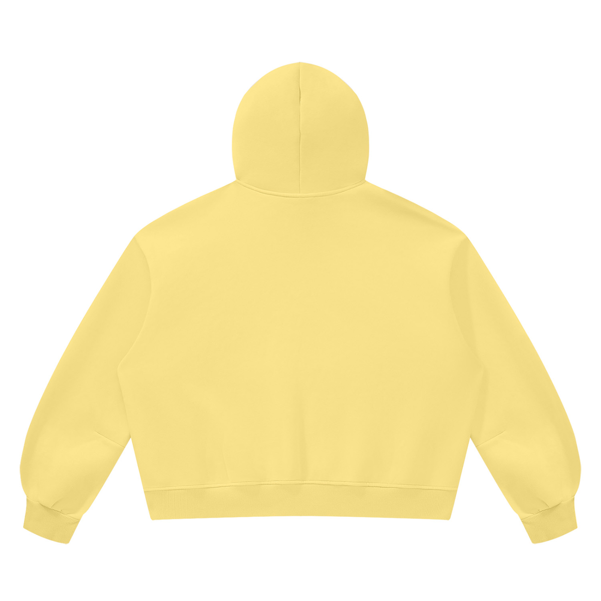 FANM Vintage Wash Boxy Fleece Hoodie